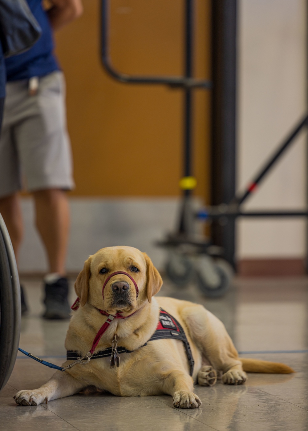Navy Wounded Warriors Resource and Resiliency Fair