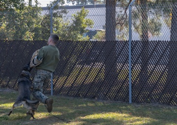 NJROTC visits MCAS Beaufort