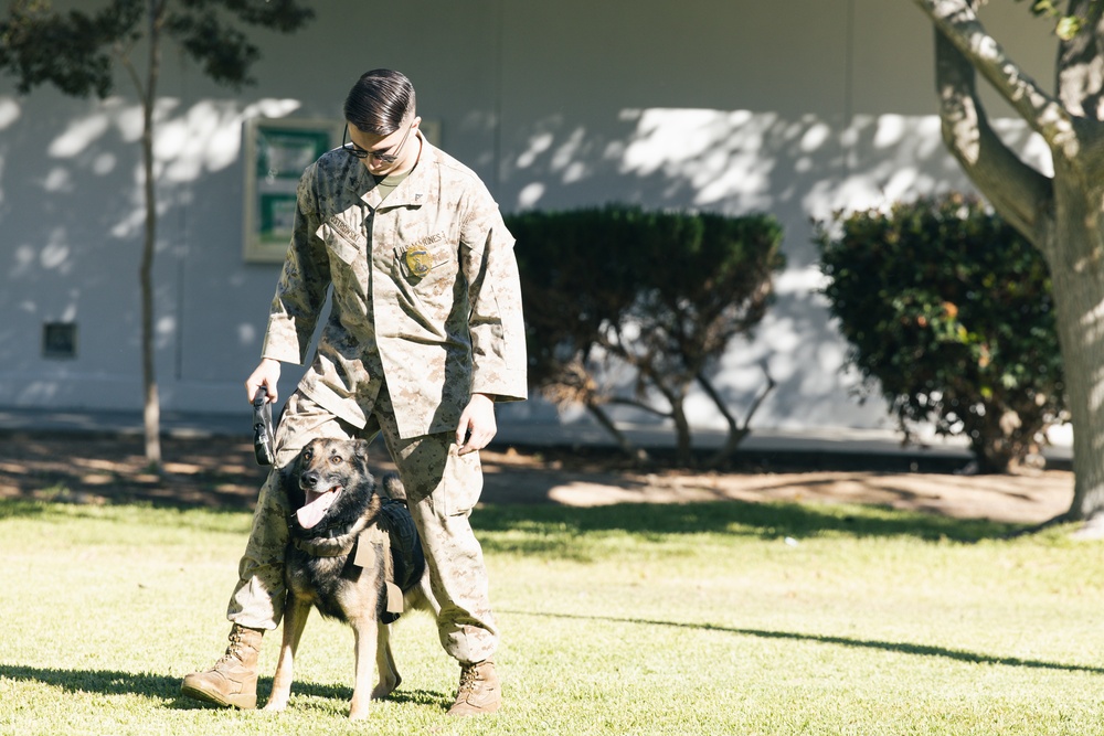 Combat Center K9 Unit teaches Palm Vista elementary students about military working dogs