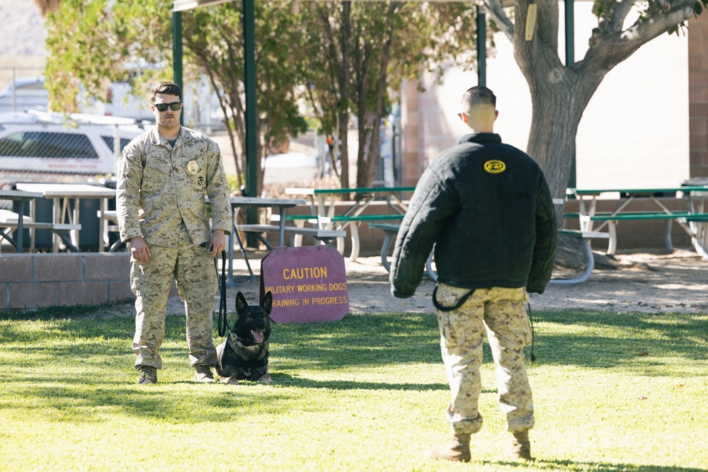 Combat Center K9 Unit teaches Palm Vista elementary students about military working dogs
