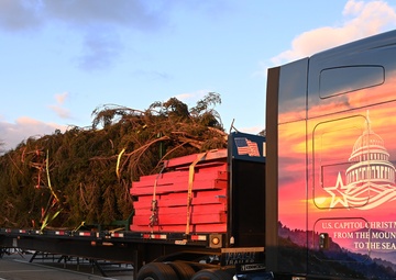 Capitol Christmas Tree arrives at JBA