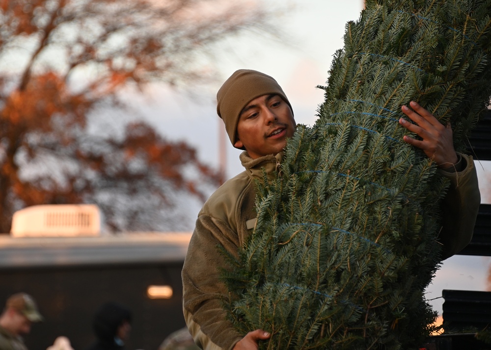 Capitol Christmas Tree arrives at JBA