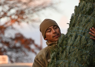Capitol Christmas Tree arrives at JBA