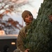Capitol Christmas Tree arrives at JBA