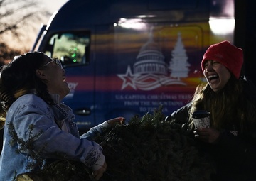Capitol Christmas Tree arrives at JBA