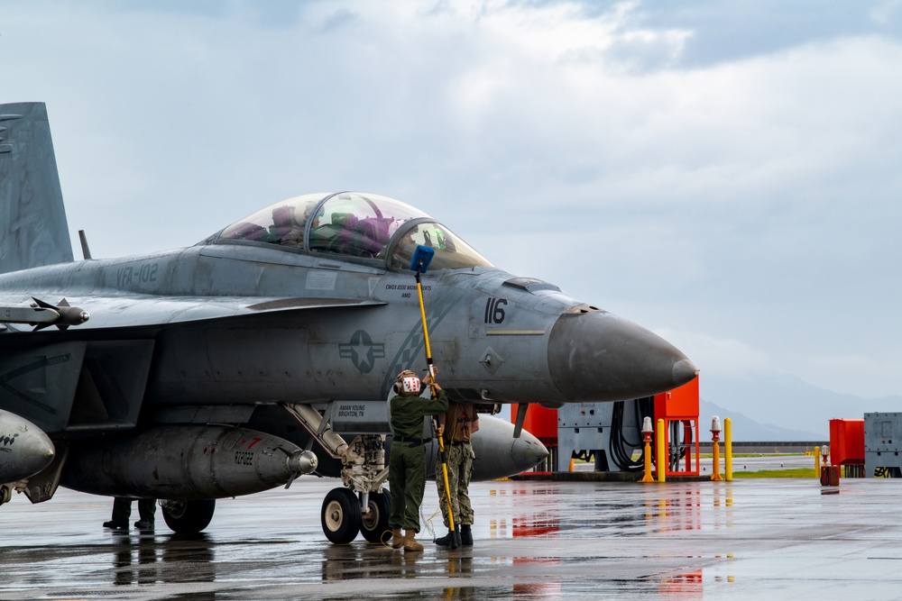 CVW-5 Returns from Deployment aboard USS Ronald Reagan