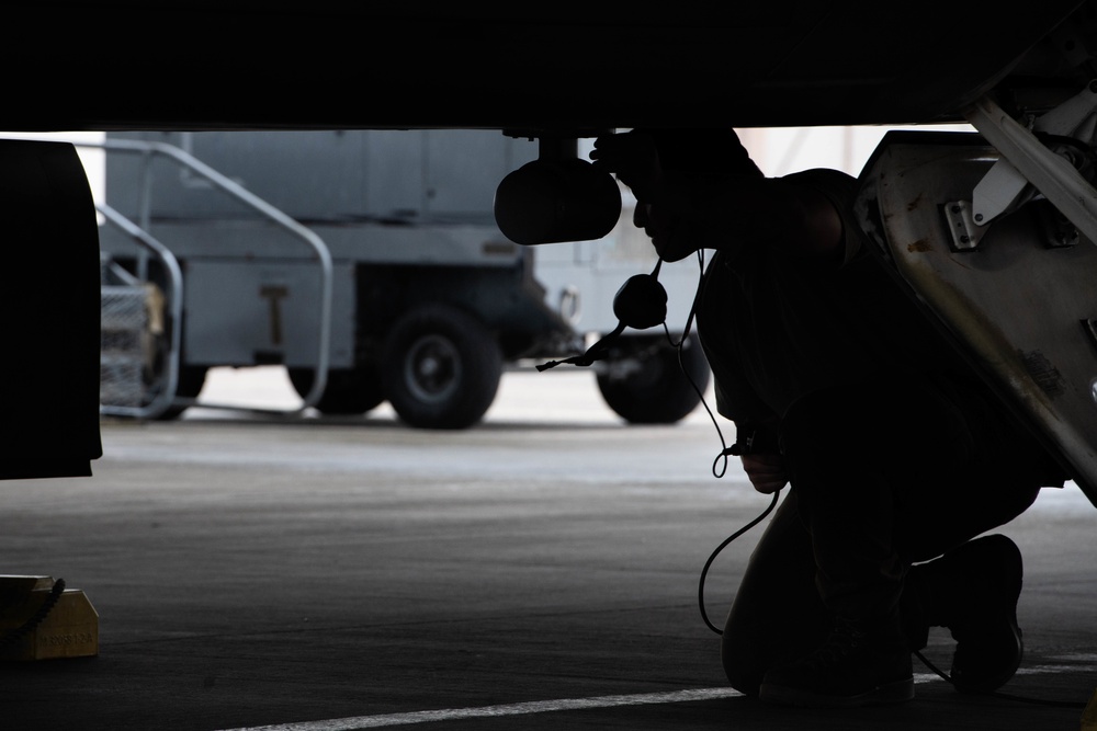 Raptors in the henhouse