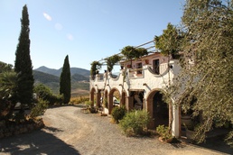 Full Circle: Olive Oil Production in Zahara de la Sierra