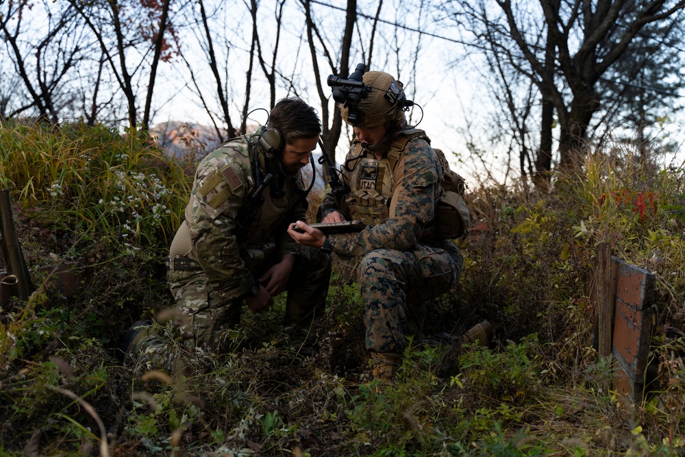 Exercise Vigilant Storm simulated close air support