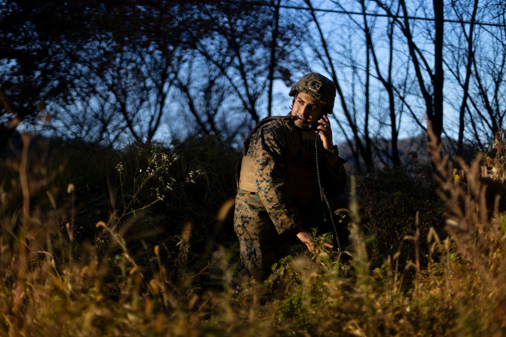 Exercise Vigilant Storm simulated close air support