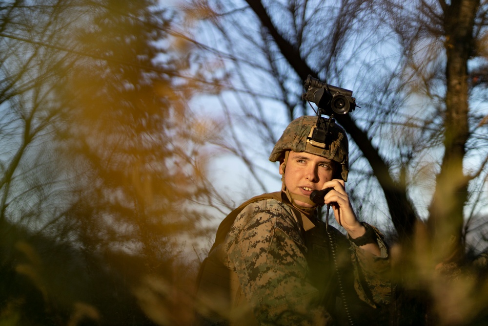 Exercise Vigilant Storm simulated close air support