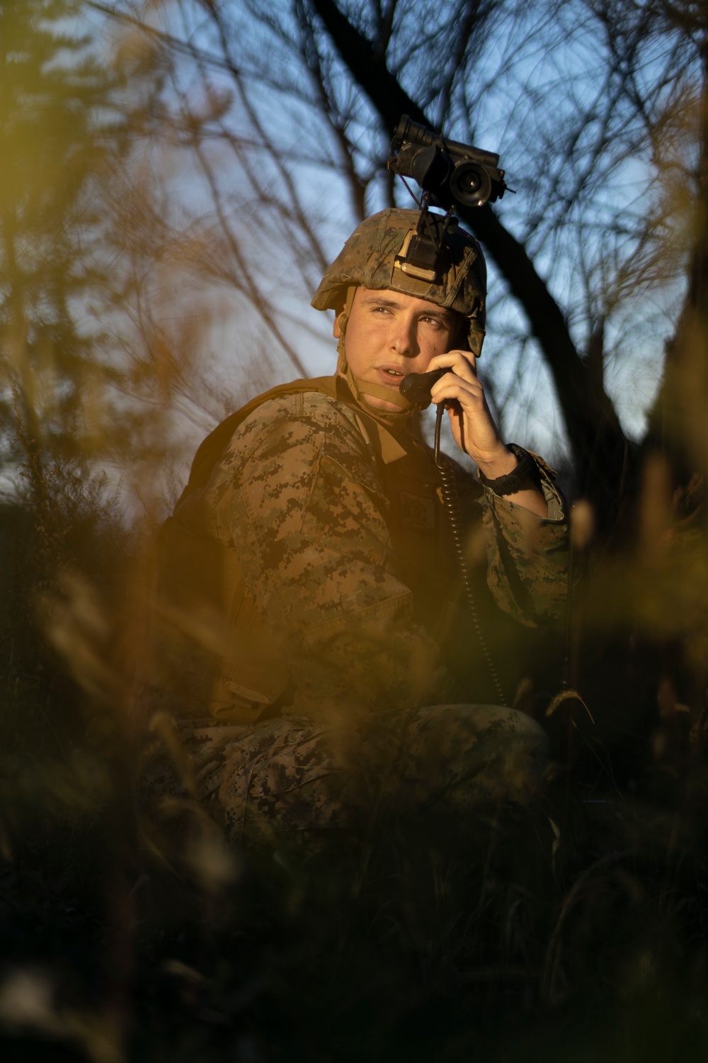 Exercise Vigilant Storm simulated close air support