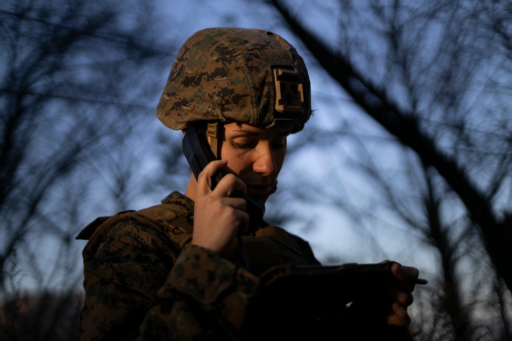 Exercise Vigilant Storm joint close air support