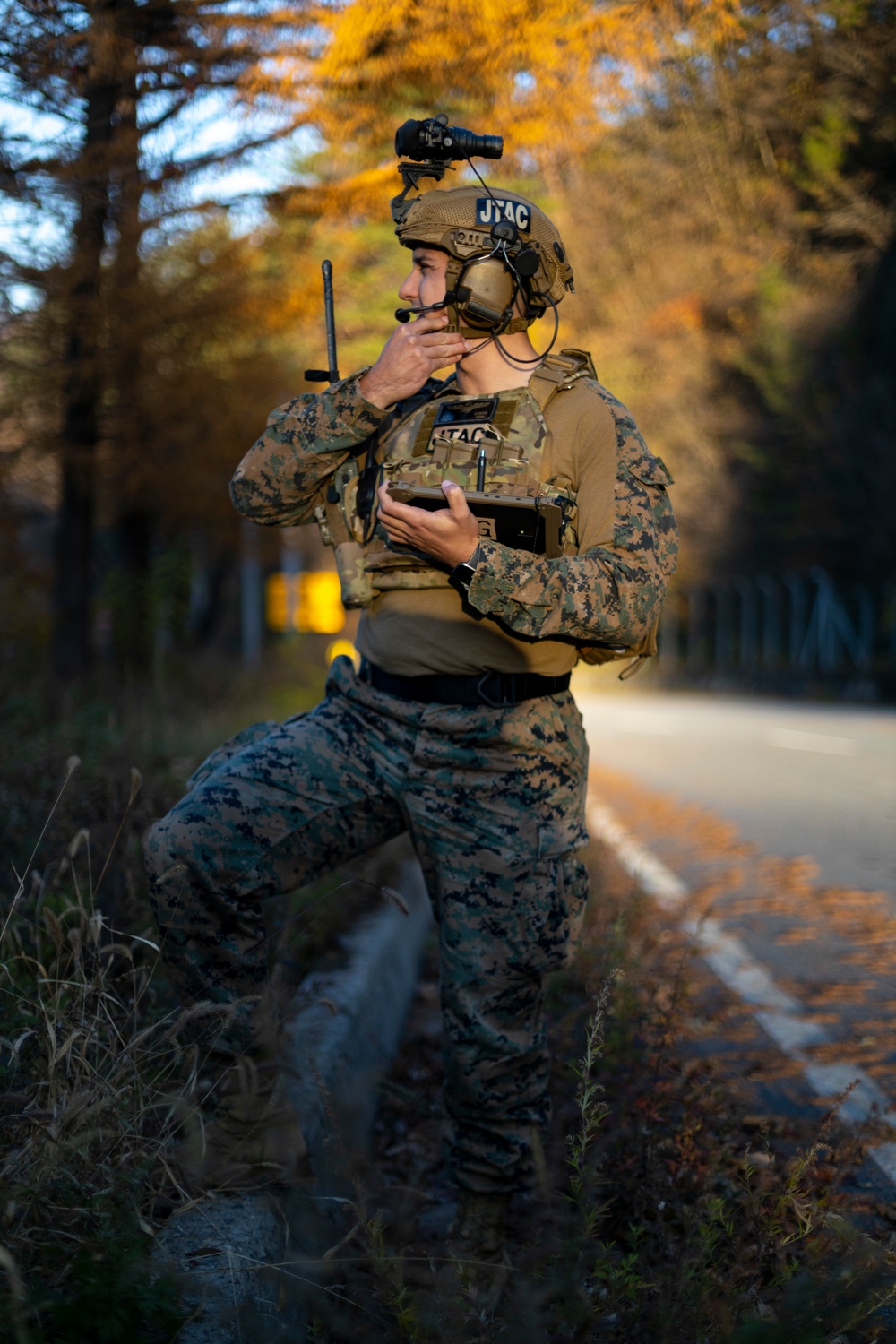 Exercise Vigilant Storm simulated close air support