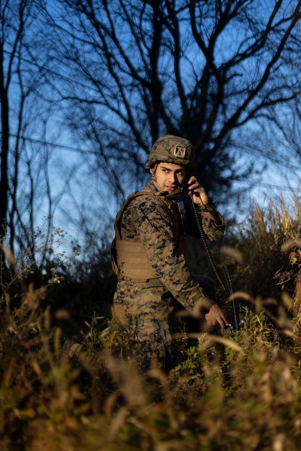 Exercise Vigilant Storm joint close air support