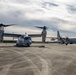 U.S. Marines work with U.S. Navy SEALs