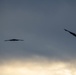 B-2 bombers train with Luke AFB fighters