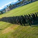 MCAGCC celebrates 247th Marine Corps birthday with formation run