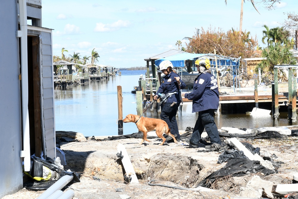 FEMA Urban Search and Rescue Teams Use Canine Teams To Assist With Searches