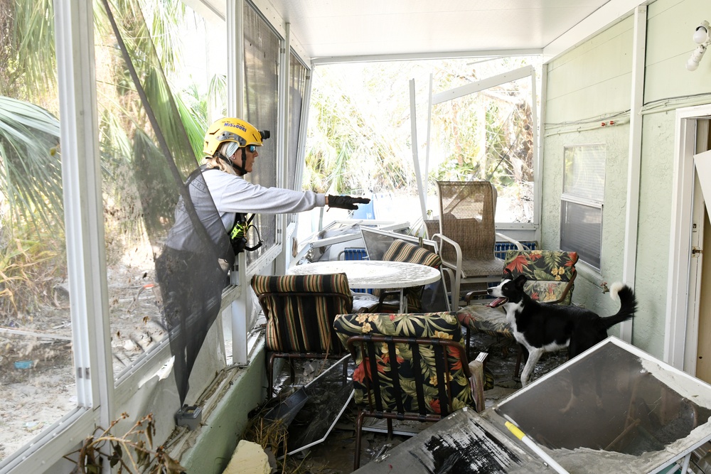 FEMA Urban Search and Rescue Teams Use Canine Teams To Assist With Searches