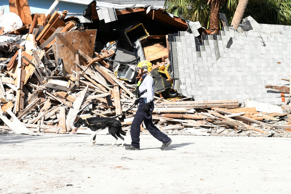 FEMA Urban Search and Rescue Teams Use Canine Teams To Assist With Searches