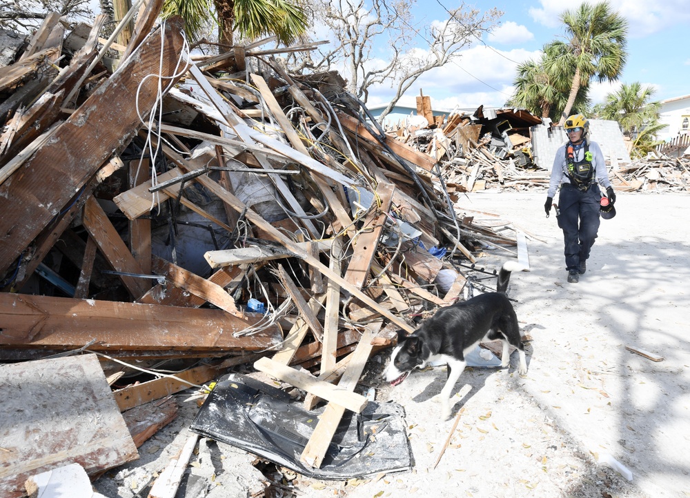 FEMA Urban Search and Rescue Teams Use Canine Teams To Assist With Searches