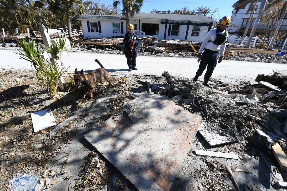 FEMA Urban Search and Rescue Teams Use Canine Teams To Assist With Searches