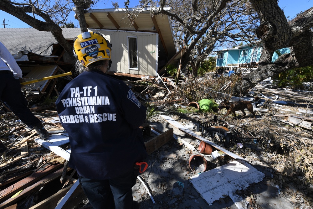 FEMA Urban Search and Rescue Teams Use Canine Teams To Assist With Searches