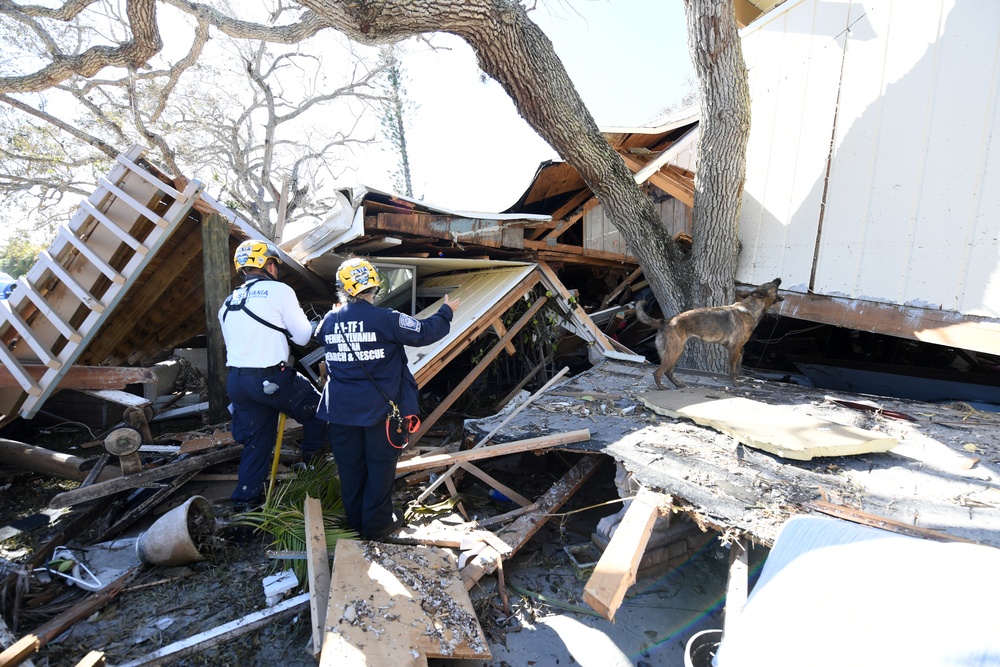 FEMA Urban Search and Rescue Teams Use Canine Teams To Assist With Searches