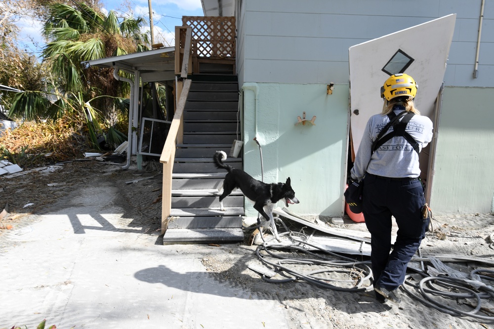 FEMA Urban Search and Rescue Teams Use Canine Teams To Assist With Searches