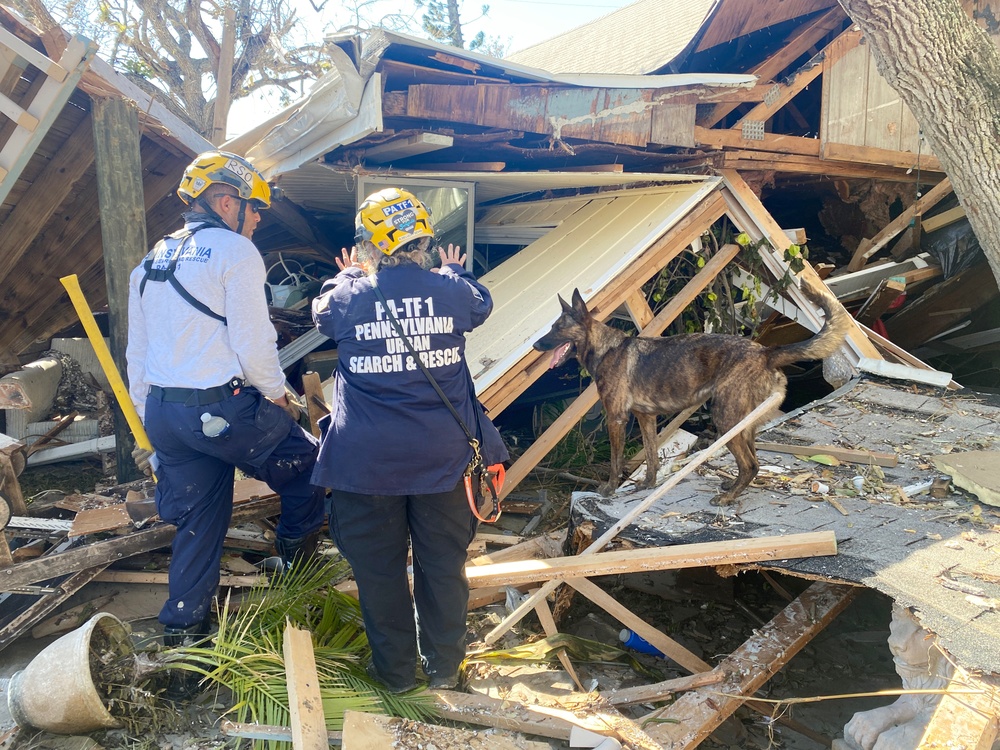 FEMA Search Dogs Assist in Searches in Neighborhoods Impacted by Hurricane Ian