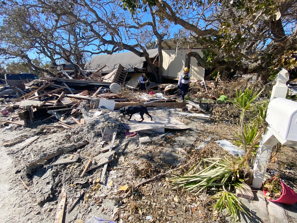 FEMA Search Dogs Assist in Searches in Neighborhoods Impacted by Hurricane Ian