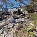 FEMA Search Dogs Assist in Searches in Neighborhoods Impacted by Hurricane Ian