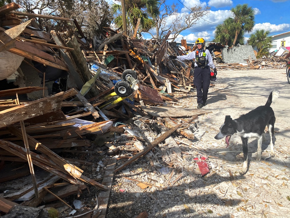 FEMA Search Dogs Assist in Searches in Neighborhoods Impacted by Hurricane Ian