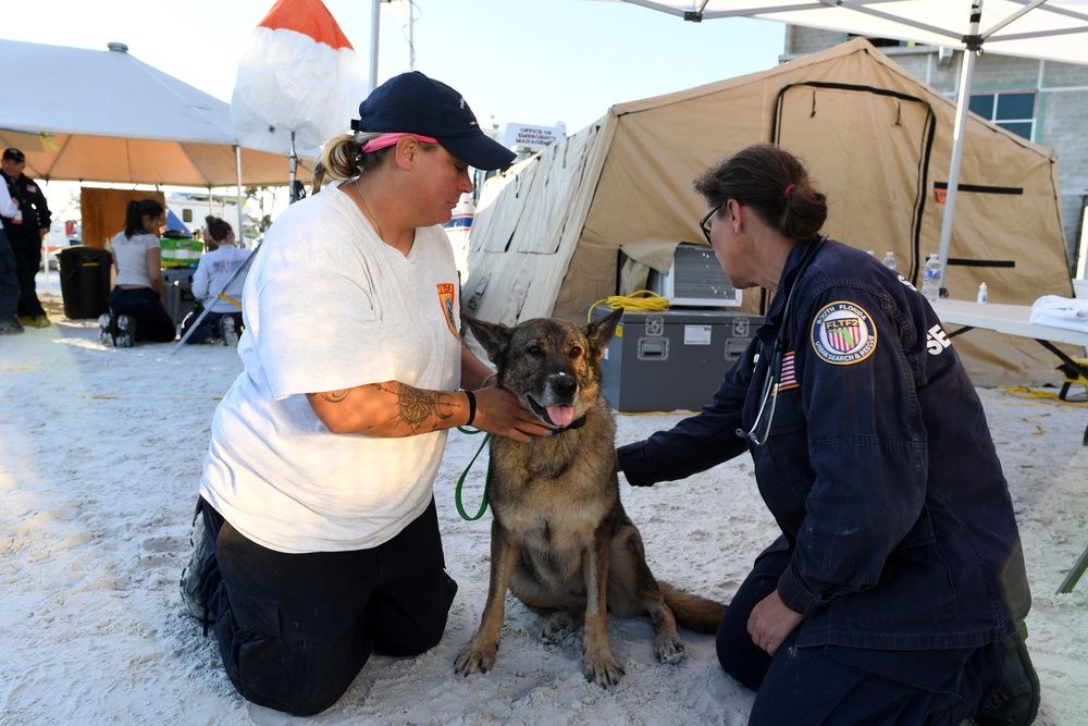 Search Dogs are Tended To After Working in Neighborhoods Ravaged by Hurricane Ian