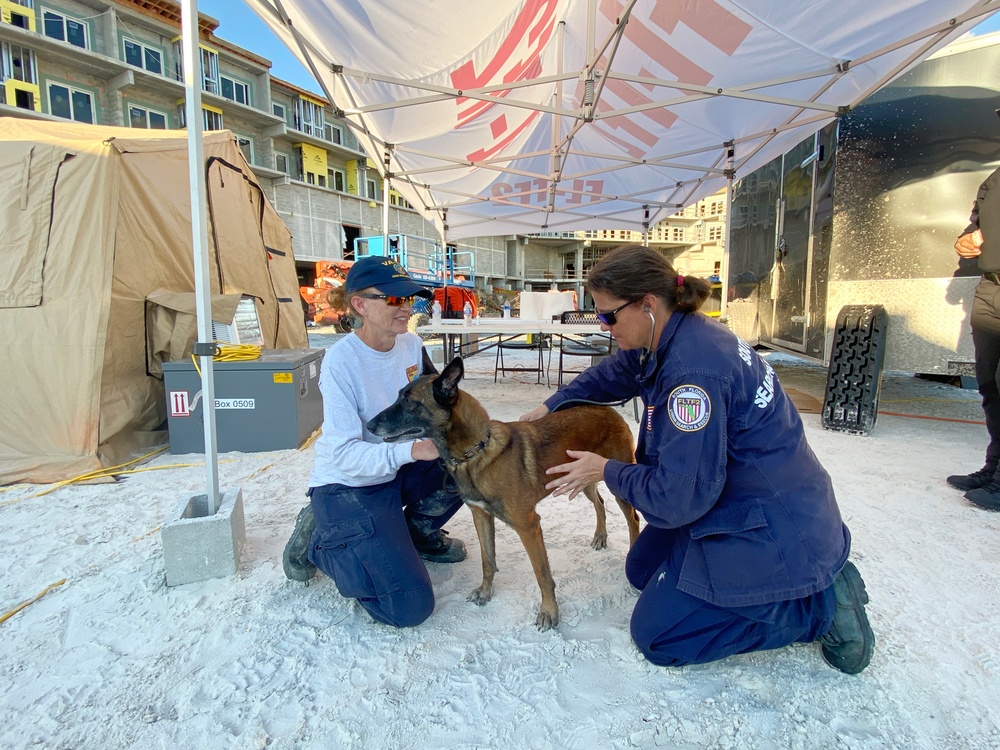 Search Dogs are Tended To After Working in Neighborhoods Ravaged by Hurricane Ian