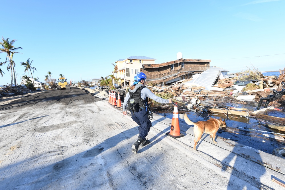 FEMA Search And Rescue (USAR) Are Assisted by Dogs in Their Searches