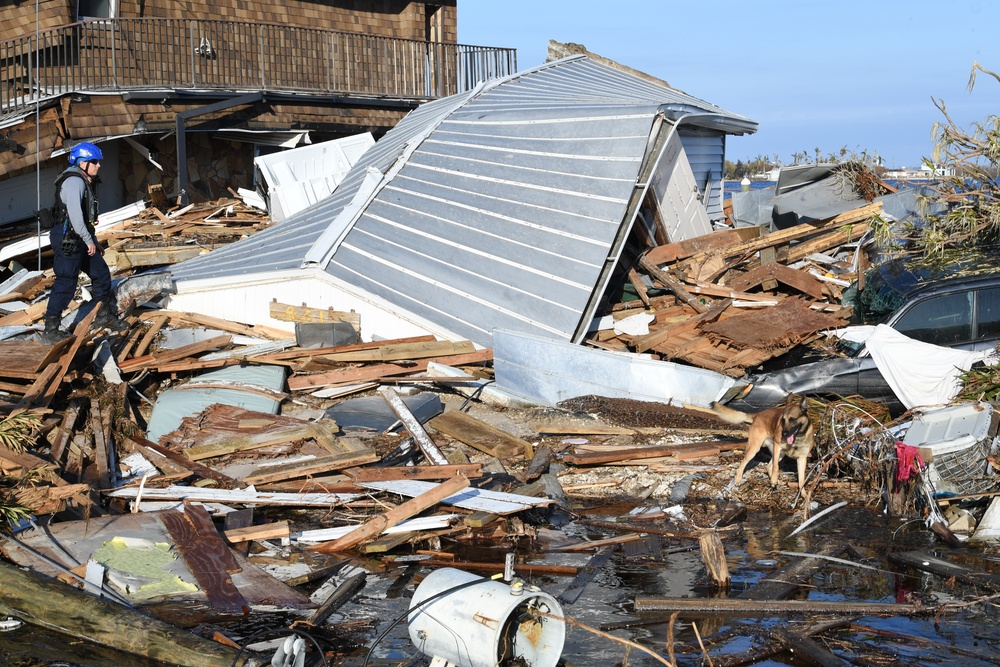 FEMA Search and Rescue Dogs Help With Searches