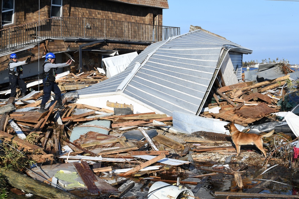 FEMA Search and Rescue Dogs Help With Searches