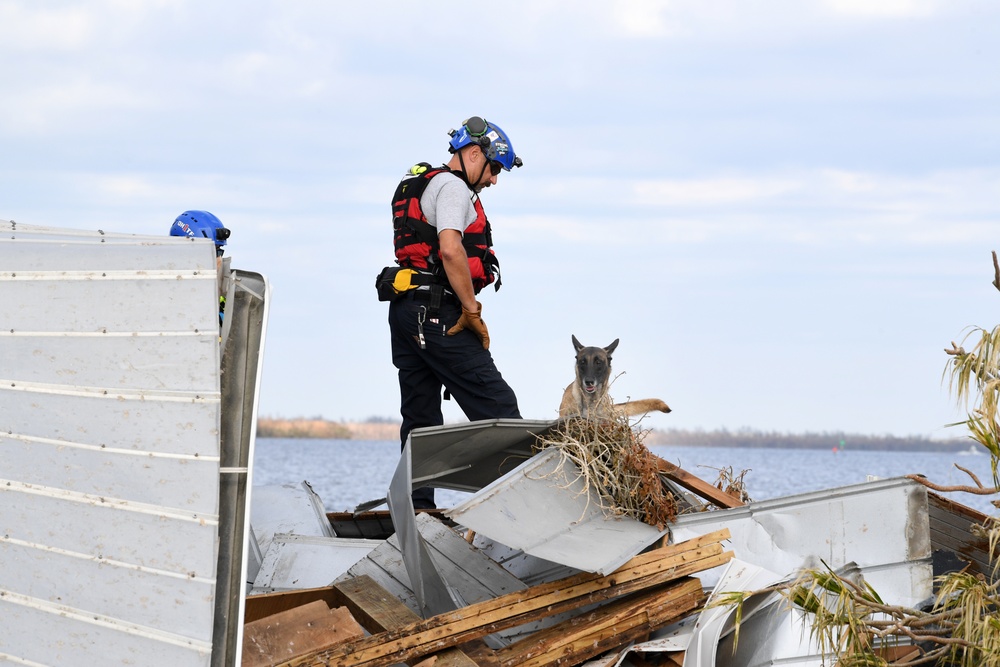 FEMA Search and Rescue Dogs Help With Searches