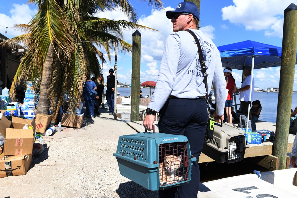 A Fire Fighter Helps Transport a Cat For a Local Resident