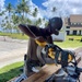 Builder 2nd Class Stephen Tritsch uses a miter saw during construction of the Richardson Multipurpose Facility