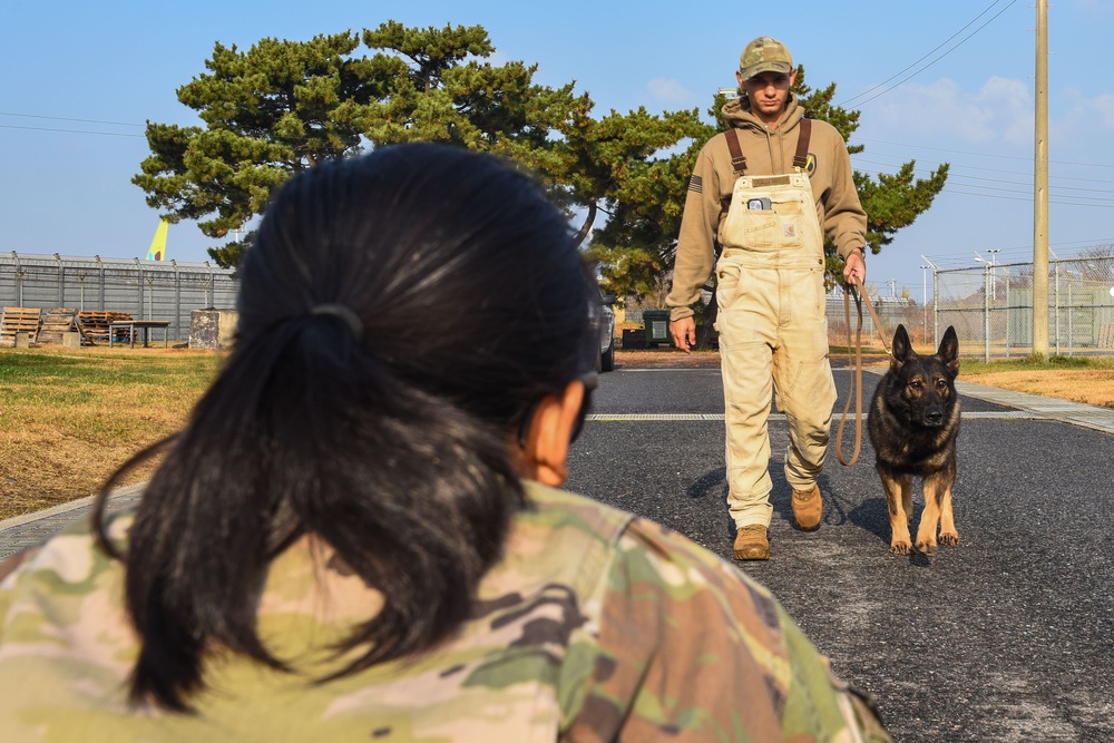 Army Veterinary Corps brings K-9 care to Kunsan