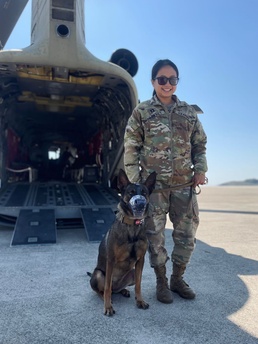 Army Veterinary Corps brings K-9 care to Kunsan