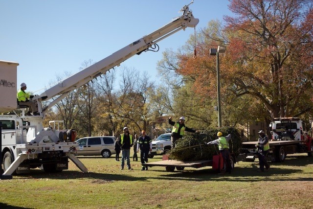 Holiday tree arrives at Fort Bragg signifying the start of season cheer