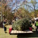 Holiday tree arrives at Fort Bragg signifying the start of season cheer