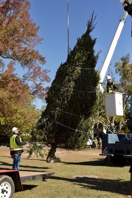 Holiday tree arrives at Fort Bragg signifying the start of season cheer