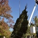 Holiday tree arrives at Fort Bragg signifying the start of season cheer