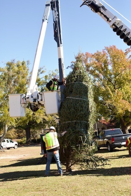 Holiday tree arrives at Fort Bragg signifying the start of season cheer