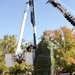 Holiday tree arrives at Fort Bragg signifying the start of season cheer